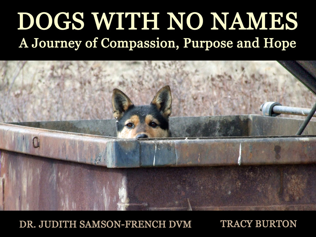 dumpster-dog-cover