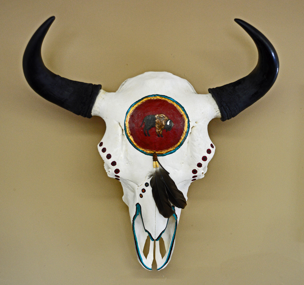 Bison Skull 1